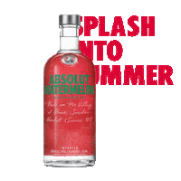 Happy Hour Summer Sticker by Absolut Vodka