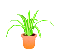 Spider Plant 3D Sticker by jjjjjohn