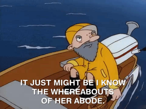 hey arnold nicksplat GIF