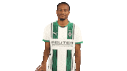 Borussia Moenchengladbach No Sticker by Bundesliga