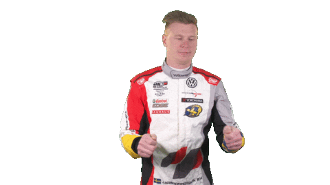 touring car celebration Sticker by FIA WTCR