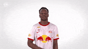 Red Bull Sport GIF by FC Red Bull Salzburg