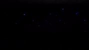 dance party GIF