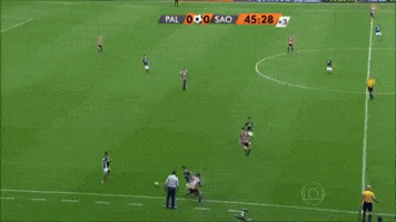 Sao Paulo Dudu GIF by SE Palmeiras