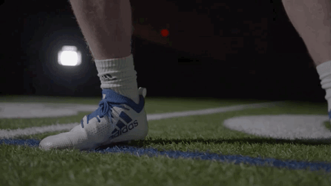 GIF by Delaware Blue Hens