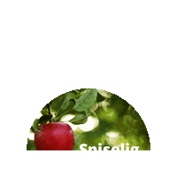 Tekst Sticker by Plantetorvet.dk