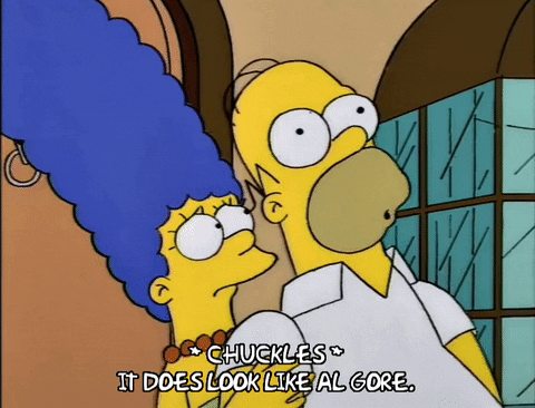 homer simpson GIF
