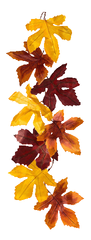 Fall Autumn Sticker by Beekwilder