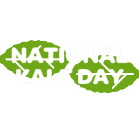 Holiday Health Sticker by Verde Fresh Salads + Wraps