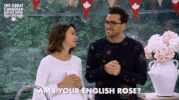 dan levy baking show GIF by CBC