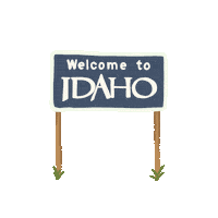 Check It Out Bucket List Sticker