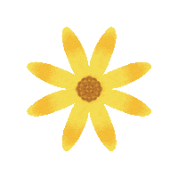 Summer Flower Sticker