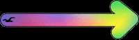 Proud Of You Rainbow GIF by Hollister Co.