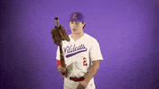 Baseball GIF by Linfield Athletics