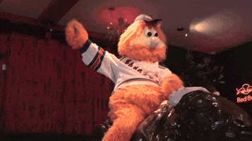 Mascot Montreal GIF