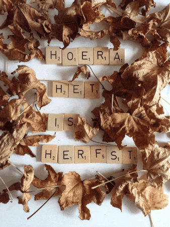 hjb8860 giphygifmaker giphyattribution GIF