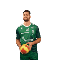 Ball Handball Sticker by Rimparer Wölfe