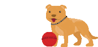 AussieDogProducts fun dog cartoon australia Sticker