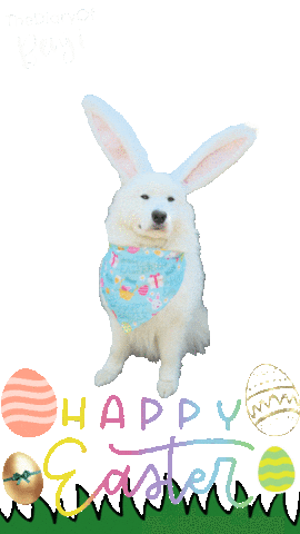 Bunny Easter Sticker