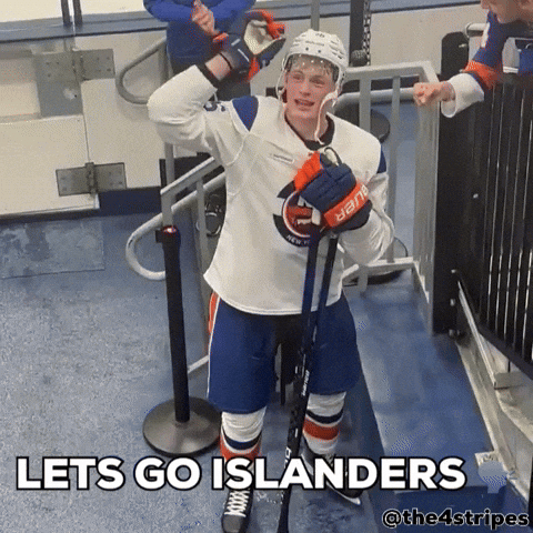 Hockey Nhl GIF
