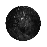 인플래닛 Sticker by Inplanet