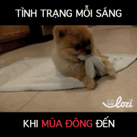 GIF by Lozi Singapore Co.