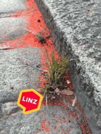 Bike Omg GIF by Linz News