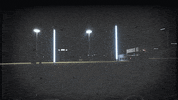 Baseball GIF by ORU Athletics