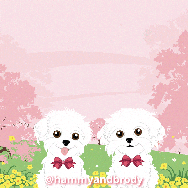 Dogs Hug GIF by HammyandBrody