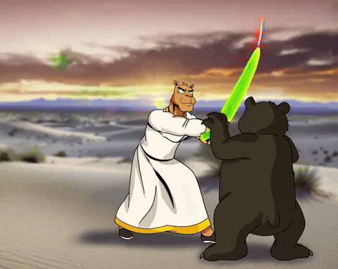 Bear Market GIF by Camel Dad