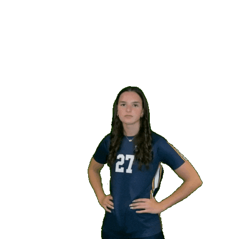 Womens Volleyball Sticker by Clarke University