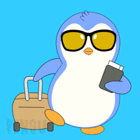 Traveling Out Of Office GIF by Pudgy Penguins