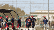 baseball twins GIF by MLB