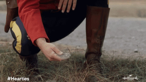 Hearties GIF by Hallmark Channel