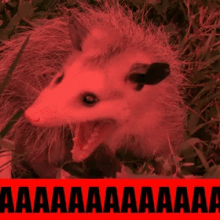 Poltavets94 giphyupload GIF