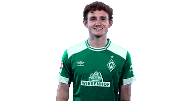football bundesliga Sticker by SV Werder Bremen