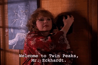 season 2 GIF by Twin Peaks on Showtime