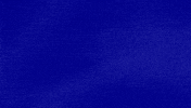 Fishtank GIF by Jeopardy!