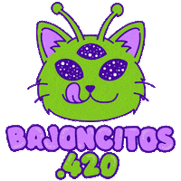 Gato Sticker