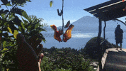 FullCirclePhenomenal  GIF