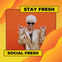 Social Media GIF by Social Fresh