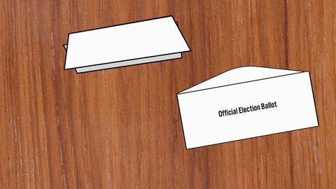 hilary-schenker giphyupload pennsylvania nonakedballots votinginpa GIF