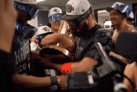 New York Knicks Kat GIF