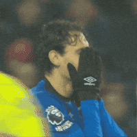 Premier League Football GIF by AFC Bournemouth