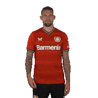 Football Wondering Sticker by Bayer 04 Leverkusen