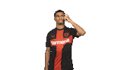 Wondering Bayer 04 Sticker by Bundesliga