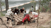 Thebridgeaugroup GIF by The Bridge Australia