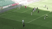K Bu GIF