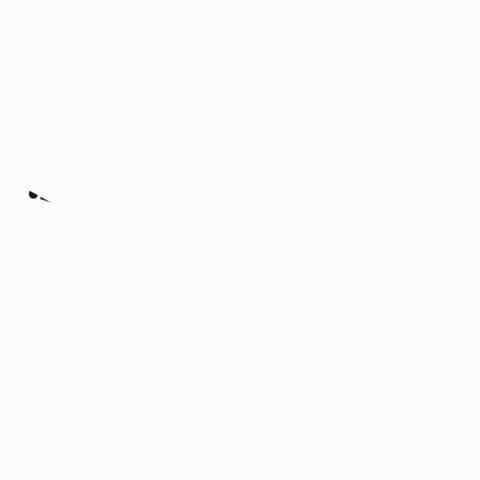 Feliz Cumpleaños GIF by RK Power