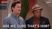 Are We Sure Nathan Lee Graham GIF by HULU